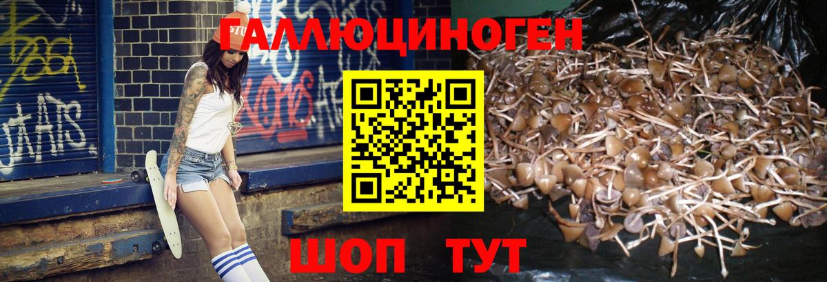 Галлюциногенные грибы мицелий  Галлюциногенные грибы мицелий  Вход с VPN  Нерюнгри 