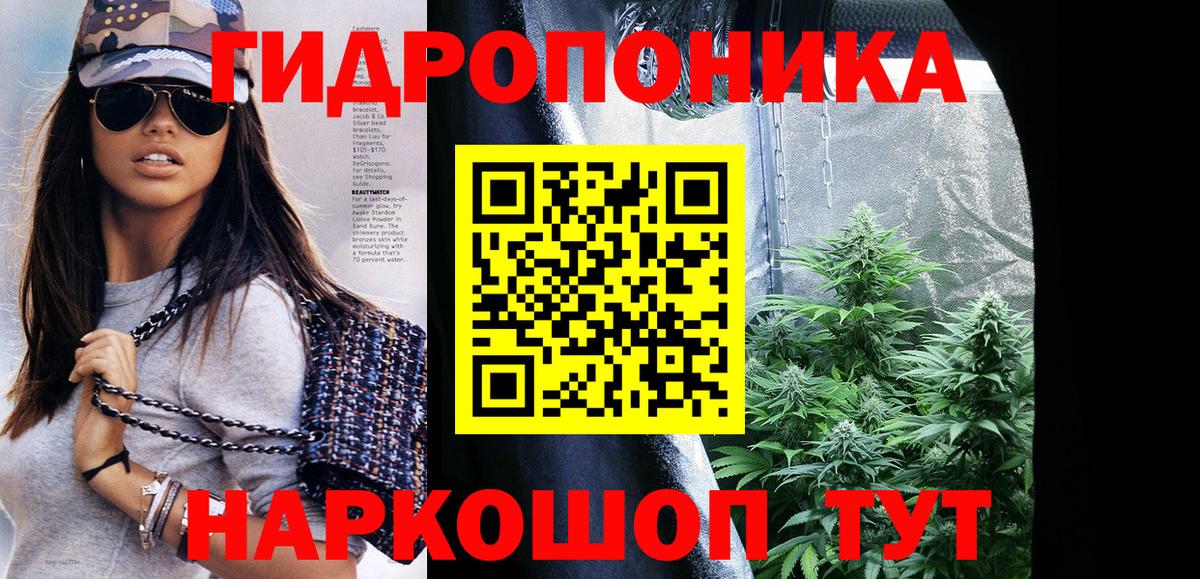 Бошки марихуана тримм  Каннабис Bruce Banner  Канабис план  МАРИХУАНА THC 21%  Вход с VPN  Нерюнгри 